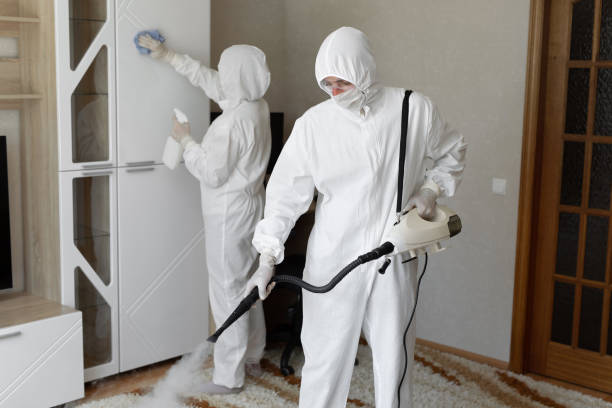 24/7 Emergency Odor Removal experts in Dwight, IL