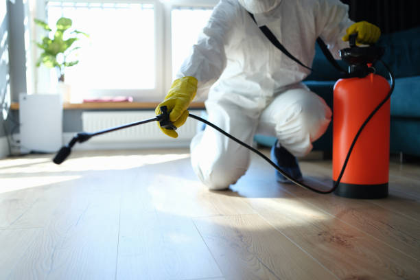 Reliable Odor Removal contractor in Dwight, IL by Trauma Clean Pros